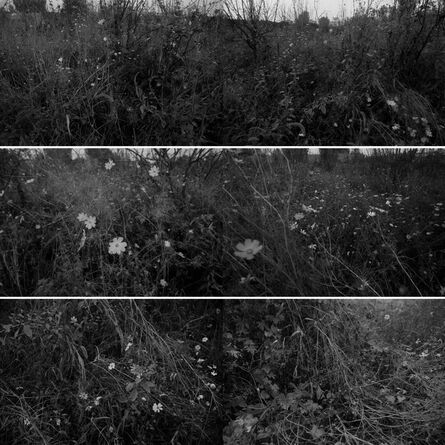 Wang Youshen, ‘Per Square Meter·My Landscape 4 每平米·我的风景4’, 2010-2011