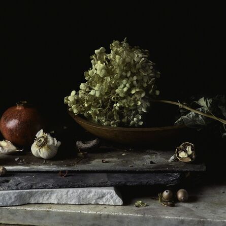 Paul Cary Goldberg, ‘Still Life with Pomegranate, Garlic, Hydrangea and Nuts’, N/A