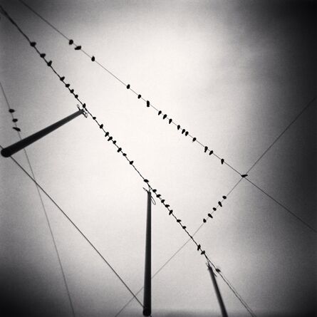 Michael Kenna, ‘Fifty Two Birds, Zurich’, 2008