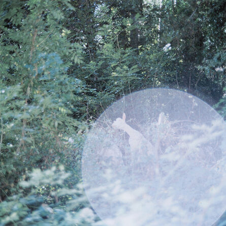 Rinko Kawauchi, ‘Untitled, from the series 'the eyes, the ears'’, 2005