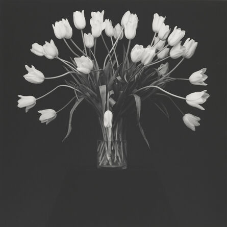 Robert Mapplethorpe, ‘Tulips’, 1988