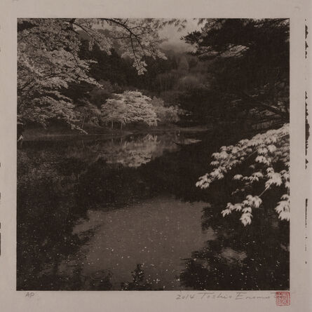 Toshio Enomoto, ‘Rainy Day by Handanuma Swamp 2, Date-gun, Fukushima’, 2014