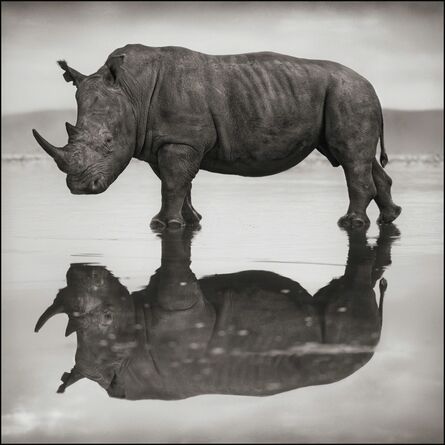 Nick Brandt, ‘Rhino on Lake, Nakuru 2007’, 2007