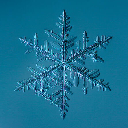 Douglas Levere, ‘Snowflake2015.02.22.002.1’, 2015