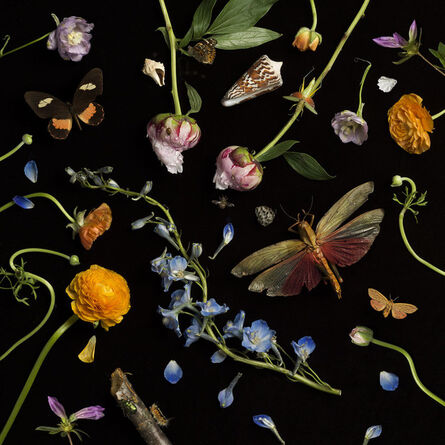 Paulette Tavormina, ‘Botanical II, Ranunculus and Delphiniums’, 2013