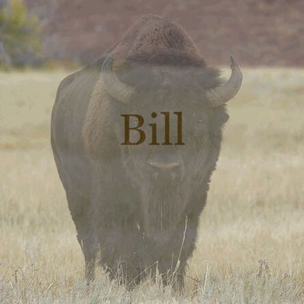 Nancy Reddin Kienholz, ‘Buffalo Bill’, 2008