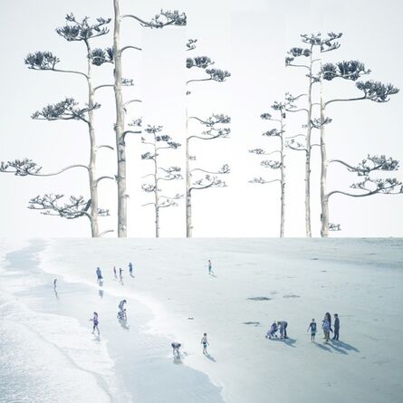 Mark Bartkiw, ‘Sanctuary - manipulated, abstract, beach, forest, photograph on dibond’, 2019