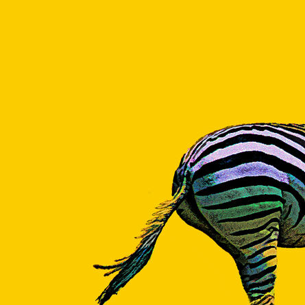 Janet Milhomme, ‘Zebra Going’, 2021