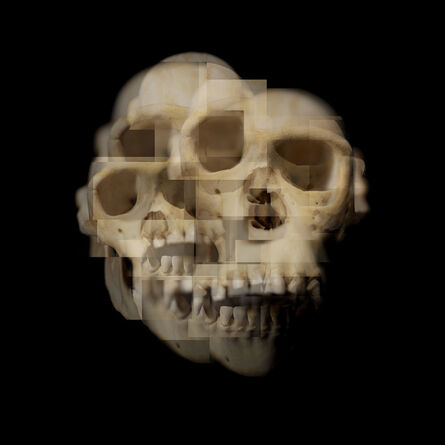 Daniel Arvizu, ‘Chimp Skull’, 2019