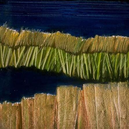 Ellen Sinel, ‘Grasses Series: Black Pond #3’, 2002