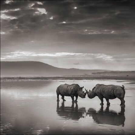 Nick Brandt, ‘Rhinos in Lake, Nakuru 2007’, 2007