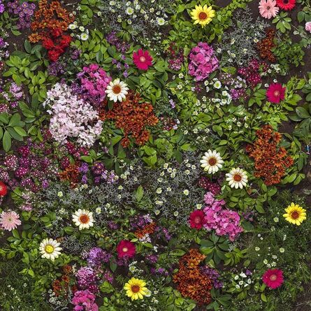 Eason Tsang Ka Wai, ‘Floral Fabric No.7’, 2013