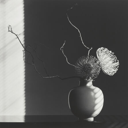 Robert Mapplethorpe, ‘Flower Arrangement’, 1986