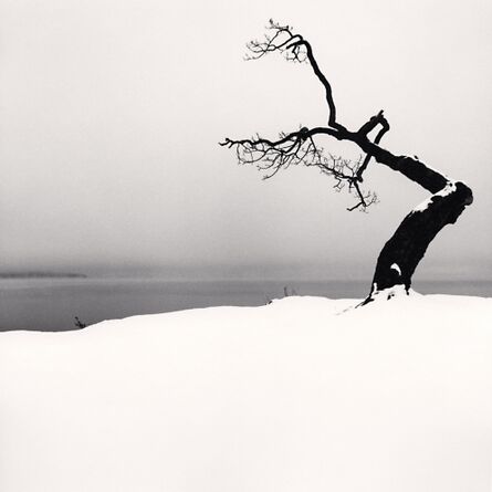 Michael Kenna, ‘Kussharo Lake Tree, Study 5, Kotan, Hokkaido, Japan’, 2007