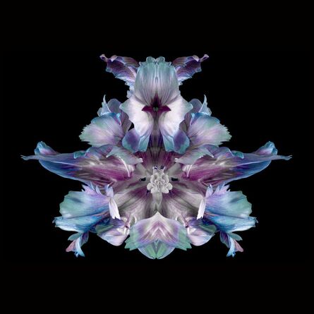 Jeff Robb, ‘Flower’, 2019