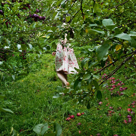 Cig Harvey, ‘The Orchard, Ashlinn, Warren, Maine’, 2012
