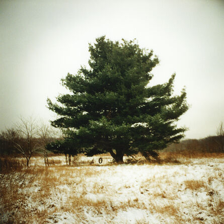 Todd Hido, ‘Untitled, #9238-a, From the series Excerpts From Silver Meadows’, 2011