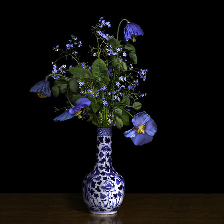T.M. Glass, ‘Blue Poppy in a Blue and White Chinese Vase’, 2018