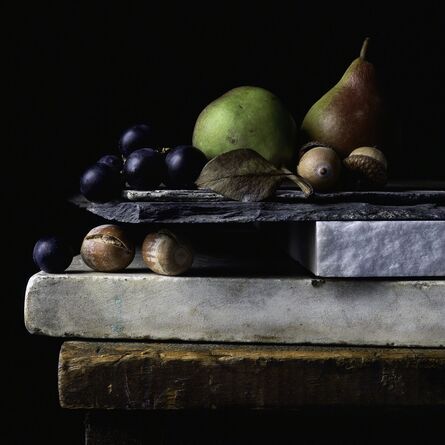Paul Cary Goldberg, ‘Still Life with Acorns, Grapes, and Pears’, 2014