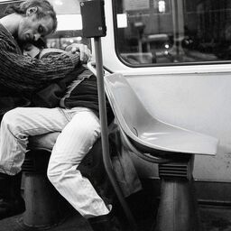 Court Tree Collective