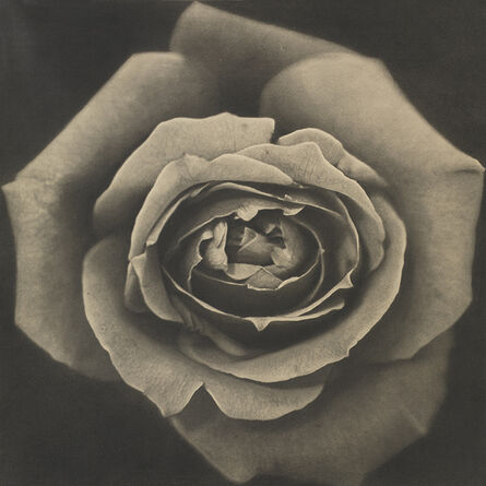 Kunié Sugiura, ‘Rose’, 1969