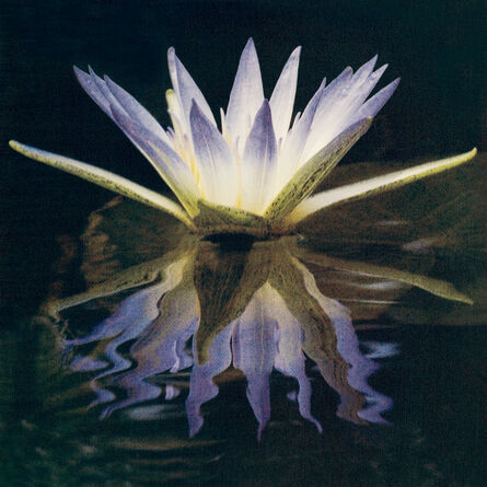 Cy DeCosse, ‘Blue Lotus Of The Nile’