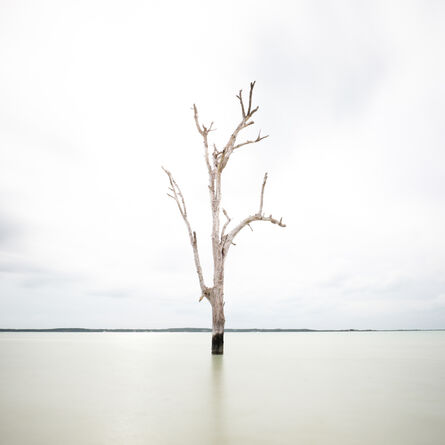 Keith Ramsdell, ‘Tall Tree at Harbour Island’