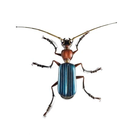 Edouard Martinet, ‘Blue shiny beetle’, 2019