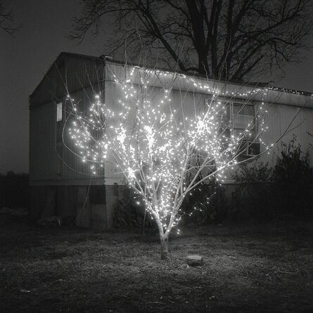 Brandon Thibodeaux, ‘Christmas Tree, Alligator, Mississippi’, 2012