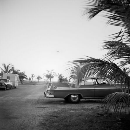 Vivian Maier, ‘0129829 - x, n.d., Car with Palm Tree’, Printed 2017