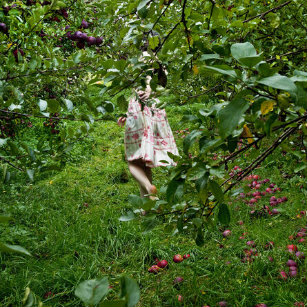 Cig Harvey, ‘The Orchard’, 2012