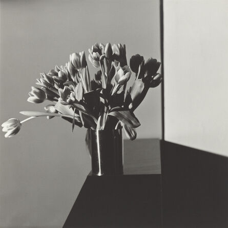 Robert Mapplethorpe, ‘Tulips’, 1978