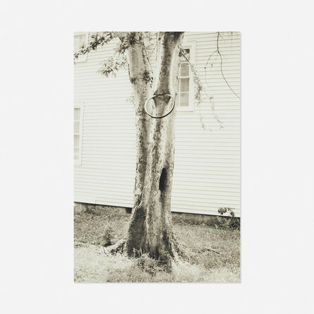 David Hammons, ‘Money Tree’, 1992