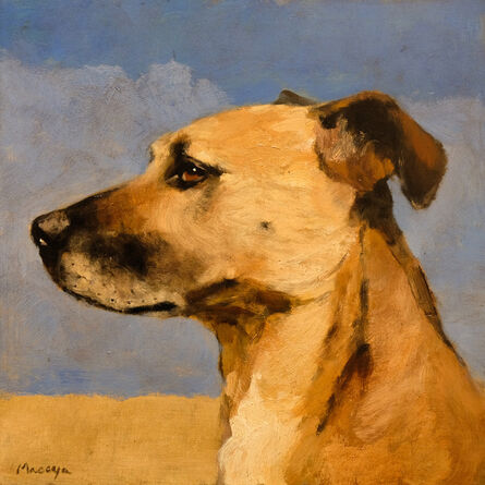 Miguel Macaya, ‘Untitled (dog)’, 2021