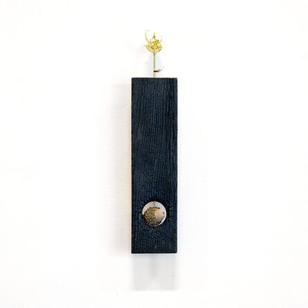 Doug Land, ‘Seed Shrine: Oak (II)’, 2020
