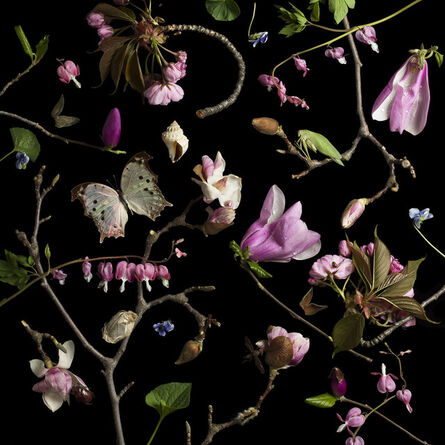 Paulette Tavormina, ‘Botanical III, Bleeding Hearts and Magnolias’, 2013