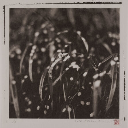 Toshio Enomoto, ‘Rain Wet Petals Fallen on the Leaves of a Japanese Iris, Kakunodate, Akita’, 2014