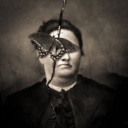 Keith Carter, ‘Spice Bush Swallow Tail’, 2019