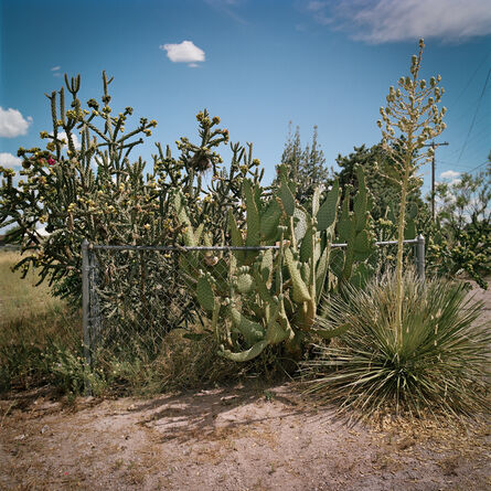 Allison V. Smith, ‘Fenced In. Marfa, Texas’, 2016