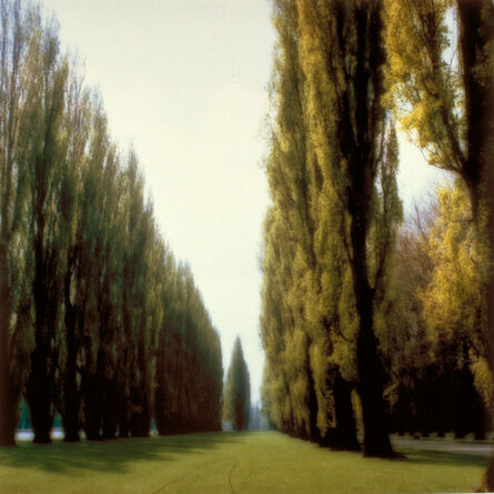 Lynn Geesaman, ‘Parc de Sceaux, France (5-95-9c-9)’, 1995