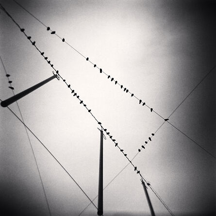 Michael Kenna, ‘Fifty Two Birds, Zurich, Switzerland’, 2008