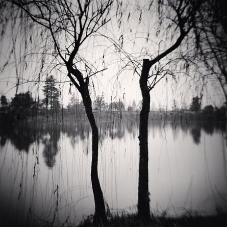 Michael Kenna, ‘Afternoon Trees, Shexian, Anhui’, 2008