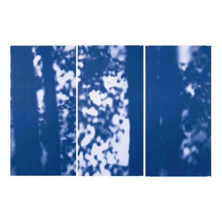 Eric William Carroll, ‘Blue Line of Woods’, 2010