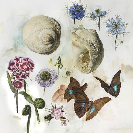 Jeffrey Ripple, ‘Shells, Butterflies, and Flowers ’, 2018