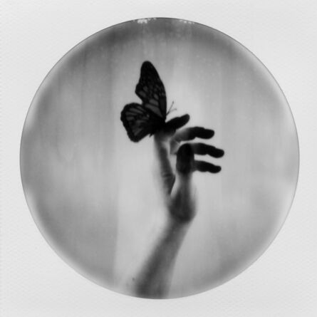 Julia Beyer, ‘Butterfly Caught’, 2017