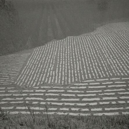 Taca Sui, ‘Odes of Chen I - Fields on the Outskirts’, 2010