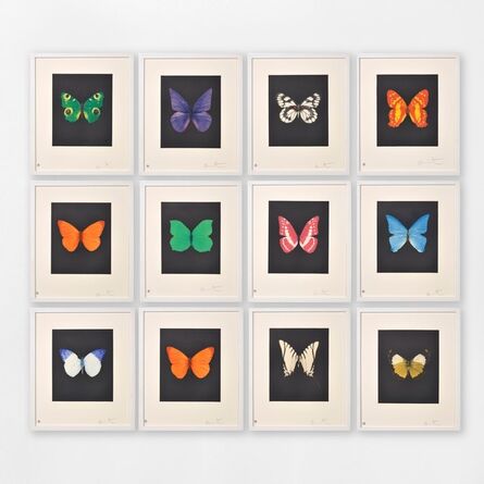 Damien Hirst, ‘Butterfly (Portfolio of 12)’, 2009
