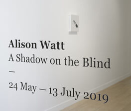Alison Watt: A Shadow on the Blind