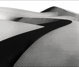 Kurt Markus : Dunes, Namibia