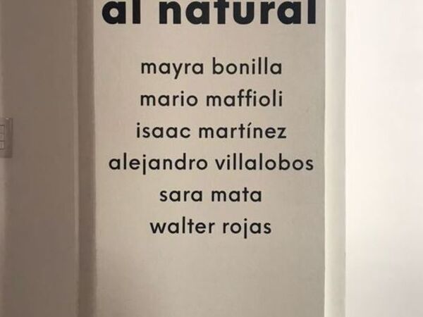 Cover image for Al Natural - Nature Itself